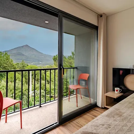 Felicidade Mondim de Basto